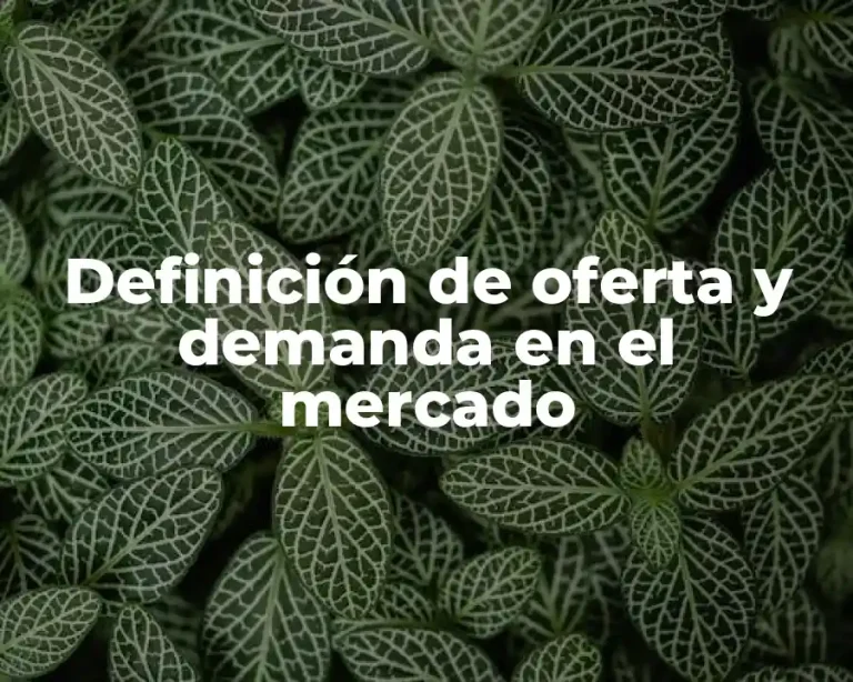 Definición de oferta y demanda en el mercado
