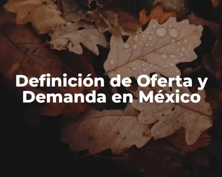 Definición de Oferta y Demanda en México