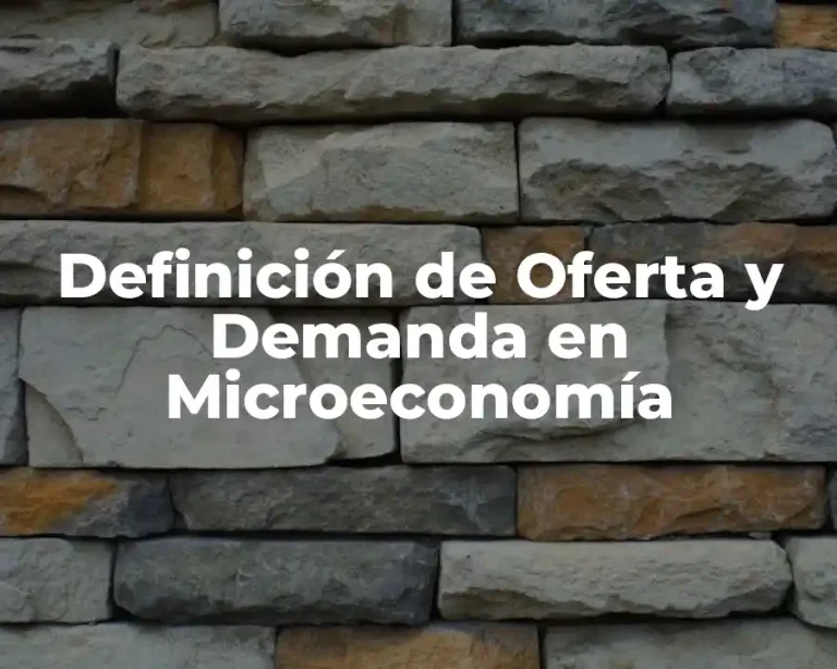 Definición de Oferta y Demanda en Microeconomía
