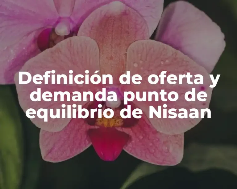 Definición de oferta y demanda punto de equilibrio de Nisaan