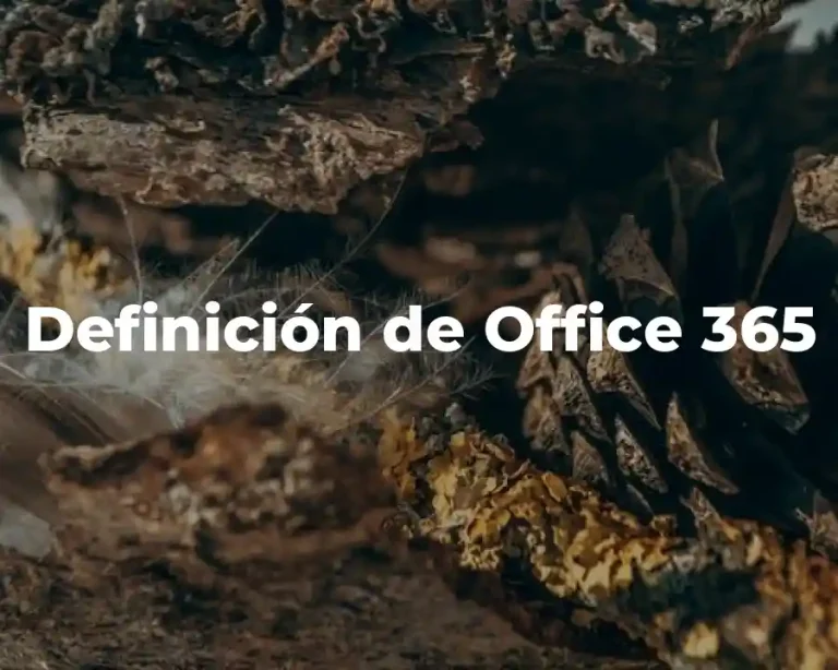 Definición de Office 365