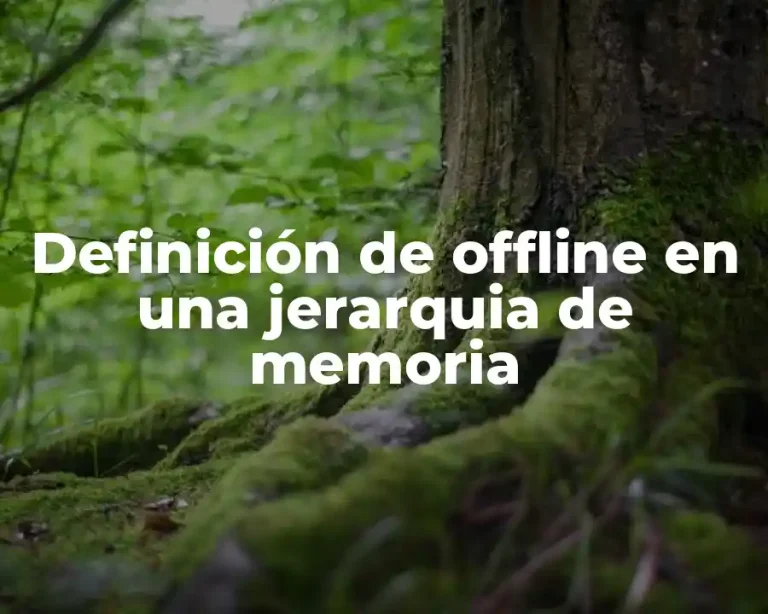 Definición de offline en una jerarquia de memoria