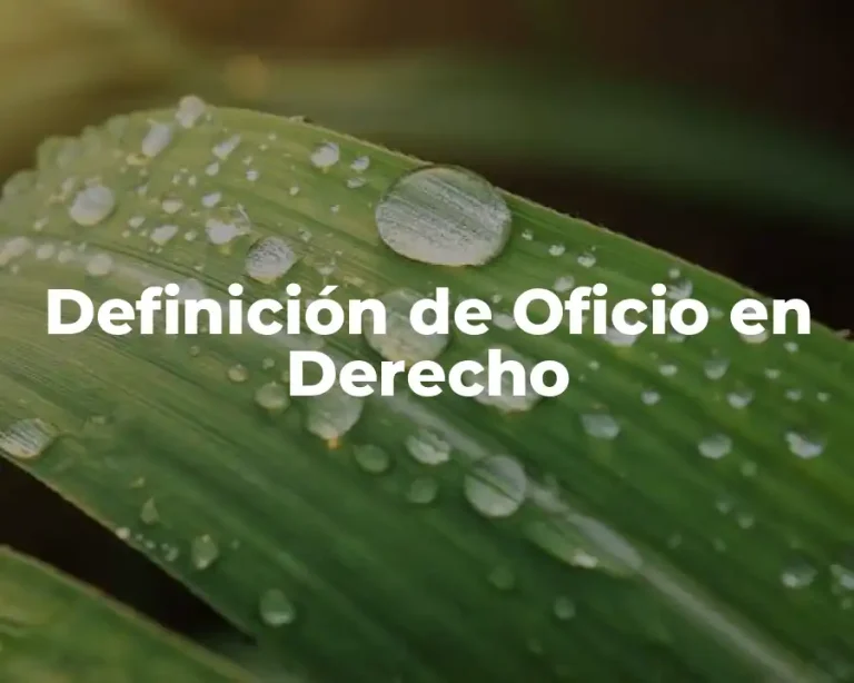 Definición de Oficio en Derecho