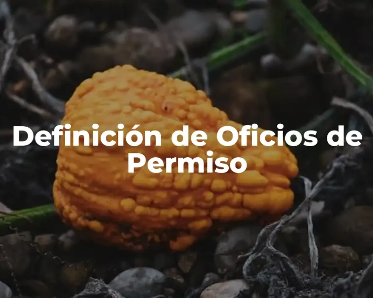 Definición de Oficios de Permiso