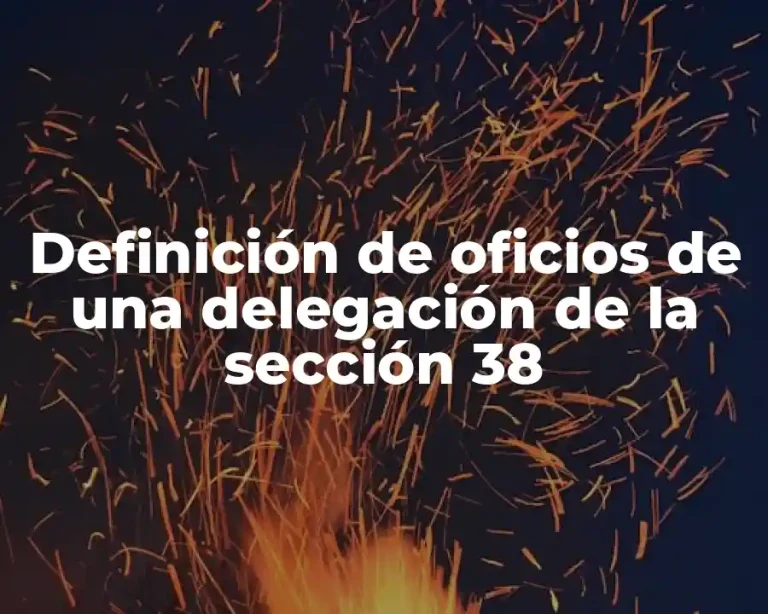 Definición de oficios de una delegación de la sección 38