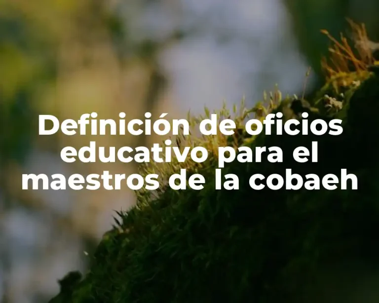Definición de oficios educativo para el maestros de la cobaeh