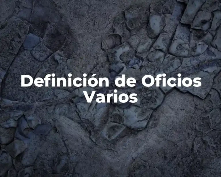 Definición de Oficios Varios