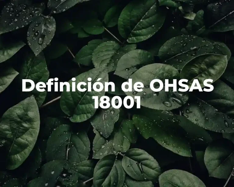 Definición de OHSAS 18001