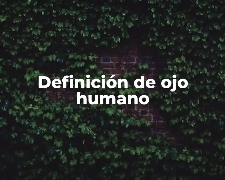 Definición de ojo humano