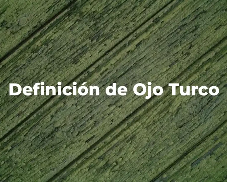 Definición de Ojo Turco