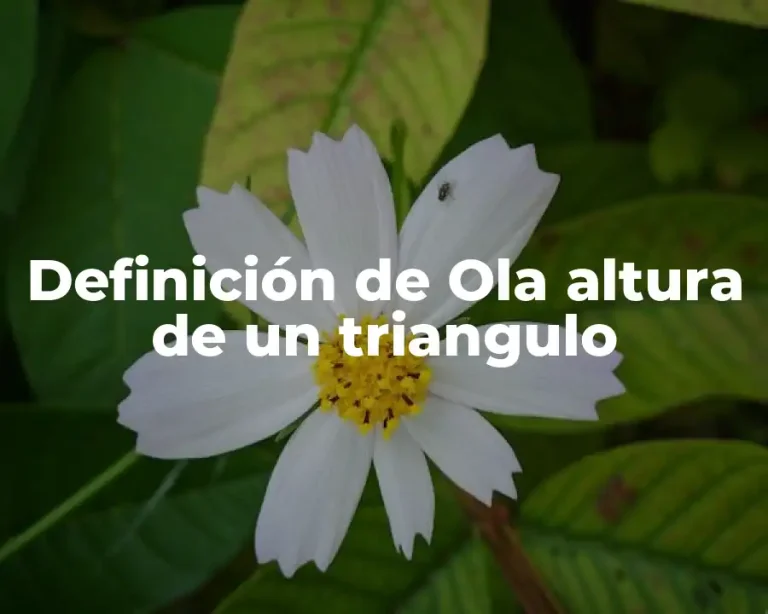 Definición de Ola altura de un triangulo