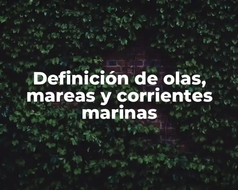 Definición de olas, mareas y corrientes marinas