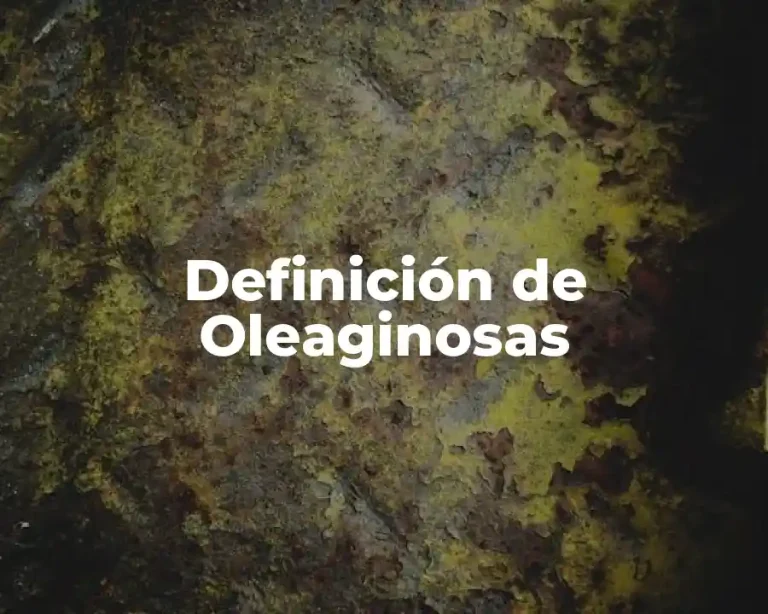 Definición de Oleaginosas