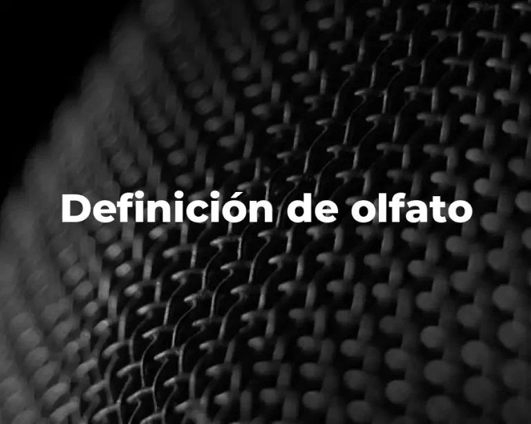 Definición de olfato