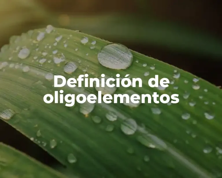 Definición de oligoelementos