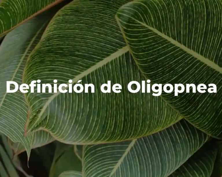 Definición de Oligopnea