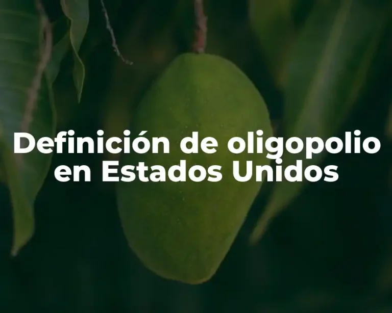 Definición de oligopolio en Estados Unidos