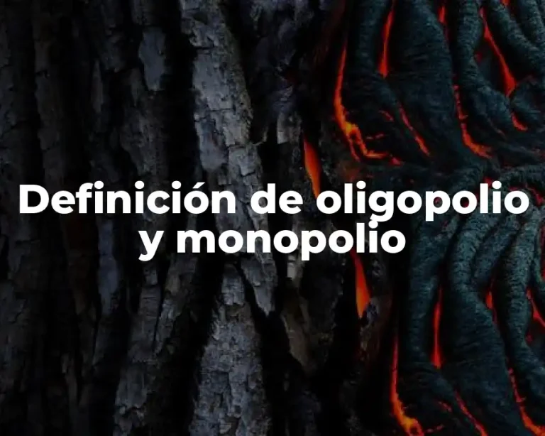 Definición de oligopolio y monopolio