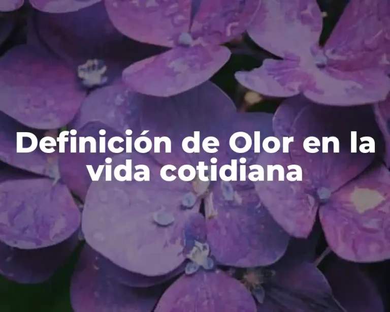 Definición de Olor en la vida cotidiana