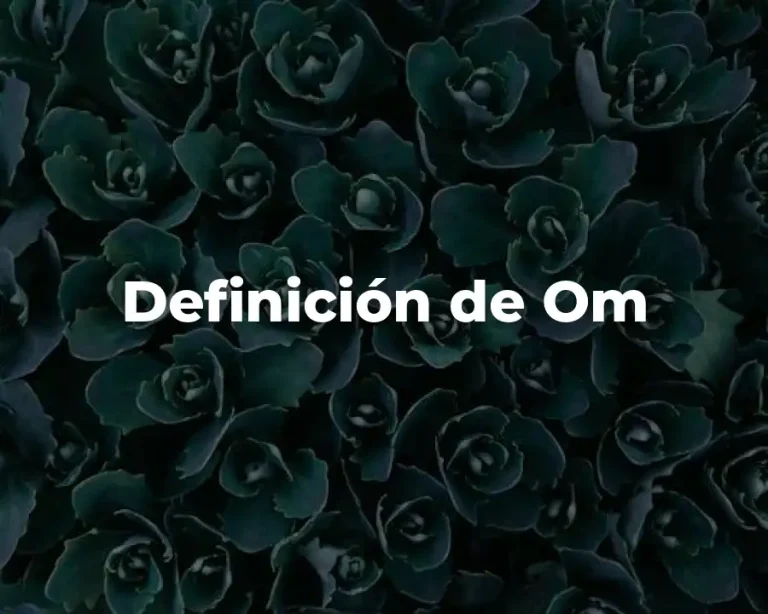 Definición de Om