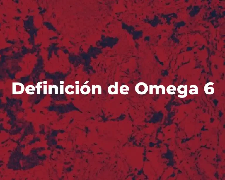 Definición de Omega 6
