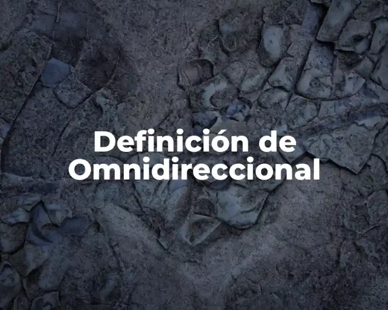 Definición de Omnidireccional