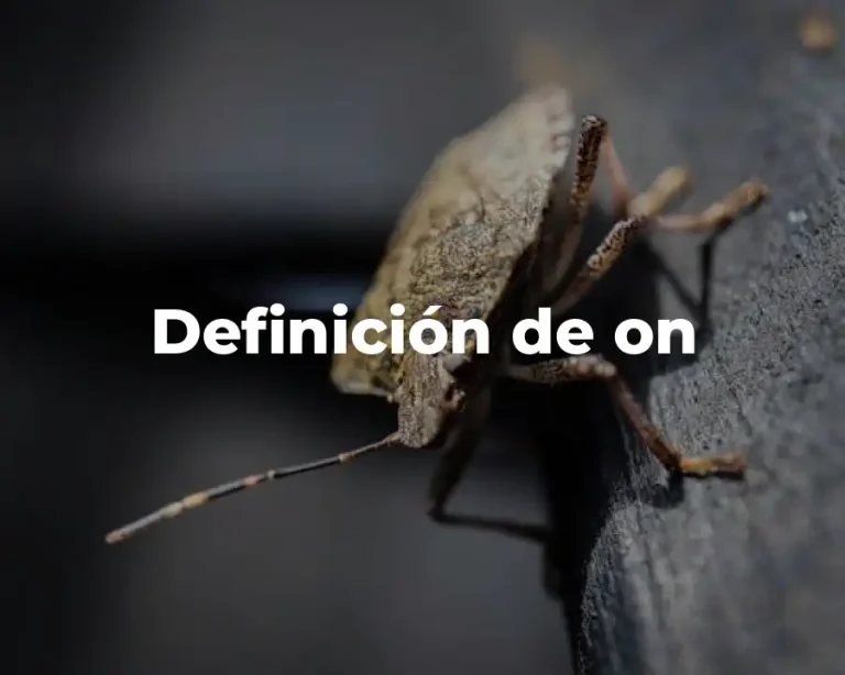 Definición de on