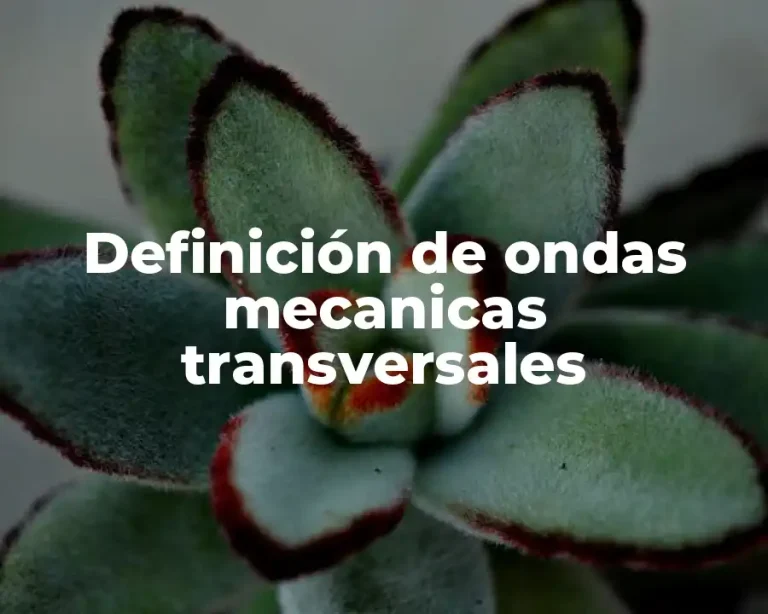 Definición de ondas mecanicas transversales