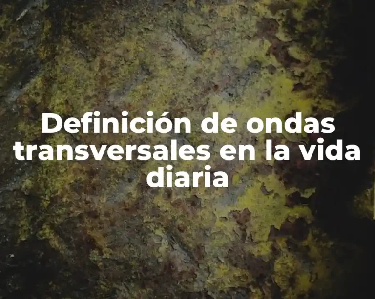 Definición de ondas transversales en la vida diaria
