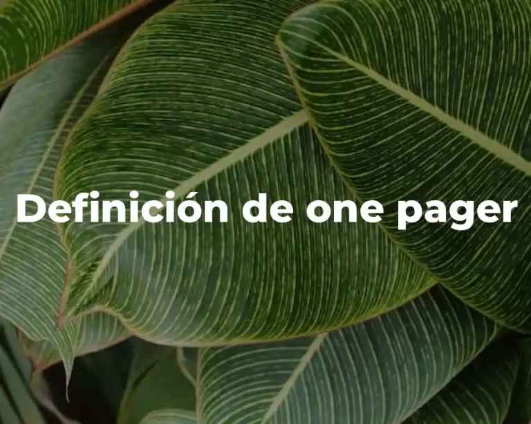Definición de one pager