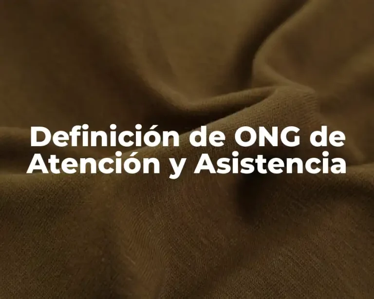 Definición de ONG de Atención y Asistencia