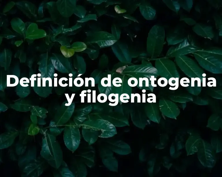 Definición de ontogenia y filogenia