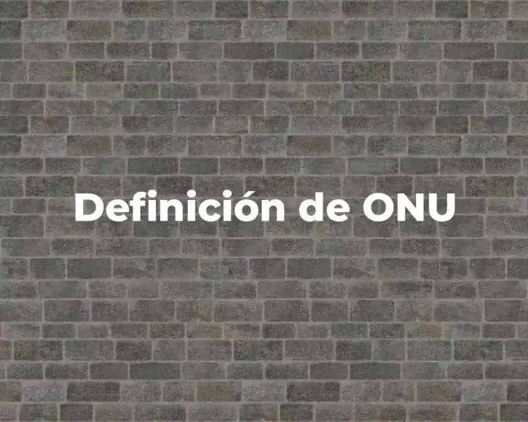 Definición de ONU
