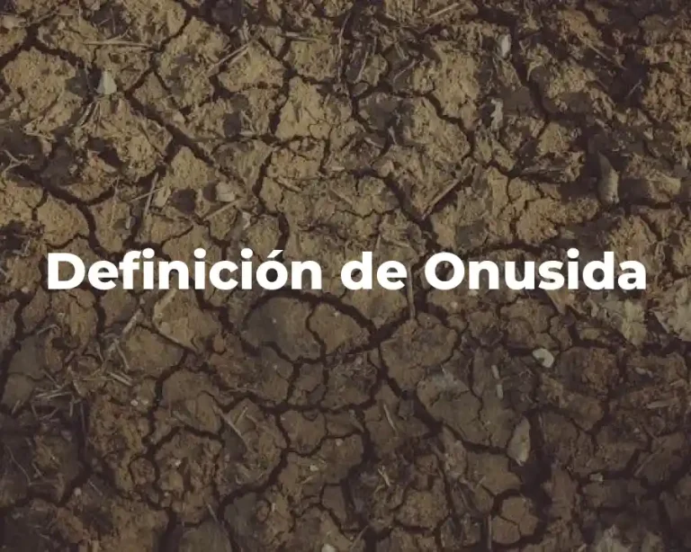 Definición de Onusida