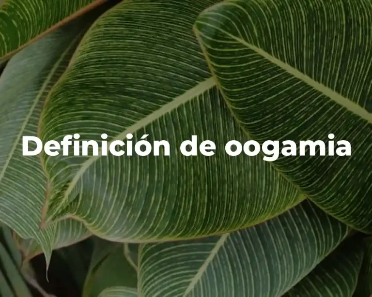 Definición de oogamia
