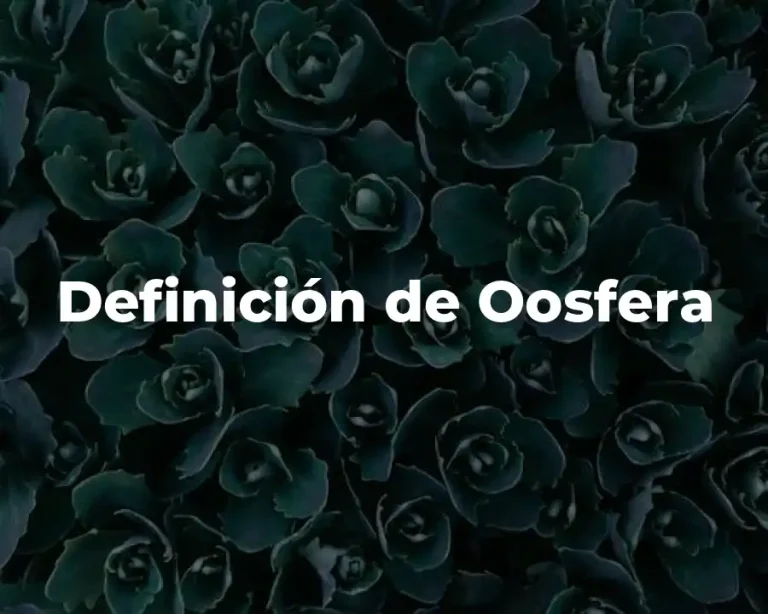 Definición de Oosfera