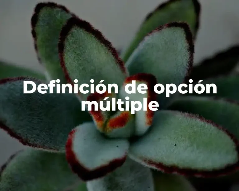 Definición de opción múltiple