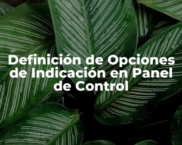 Definición de Opciones de Indicación en Panel de Control
