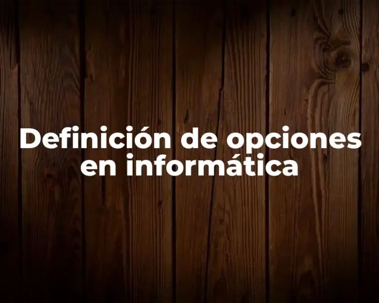 Definición de opciones en informática