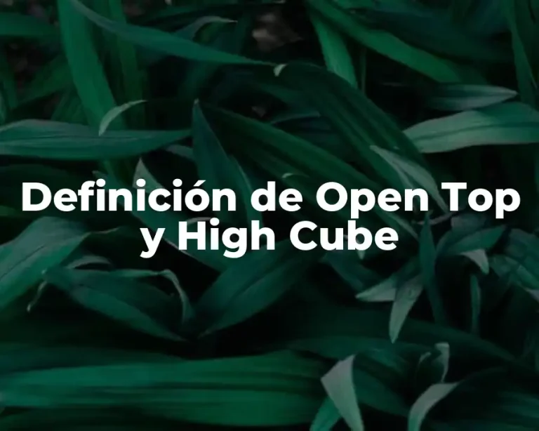 Definición de Open Top y High Cube