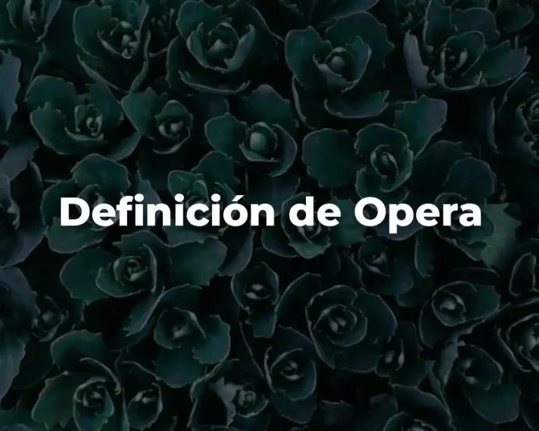 Definición de Opera