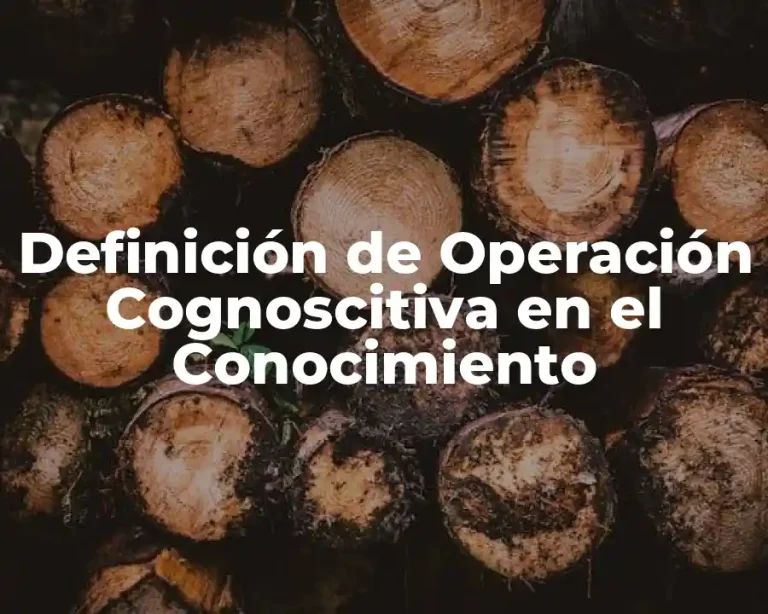 Definición de Operación Cognoscitiva en el Conocimiento