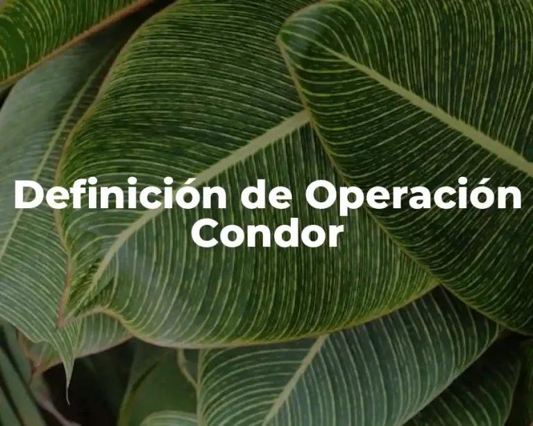 Definición de Operación Condor