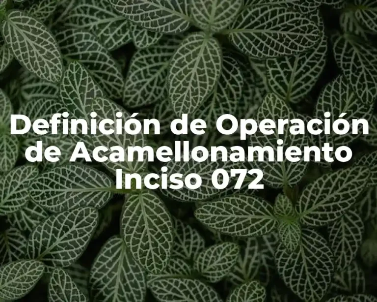 Definición de Operación de Acamellonamiento Inciso 072