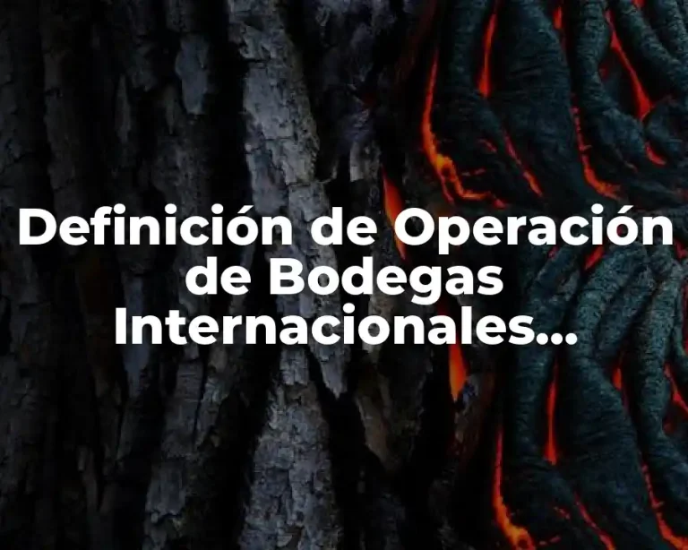 Definición de Operación de Bodegas Internacionales Forwarding