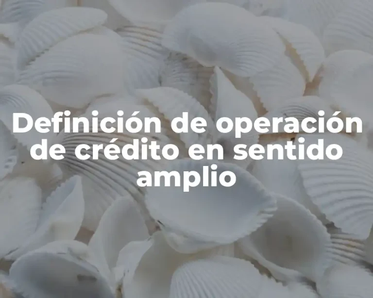 Definición de operación de crédito en sentido amplio