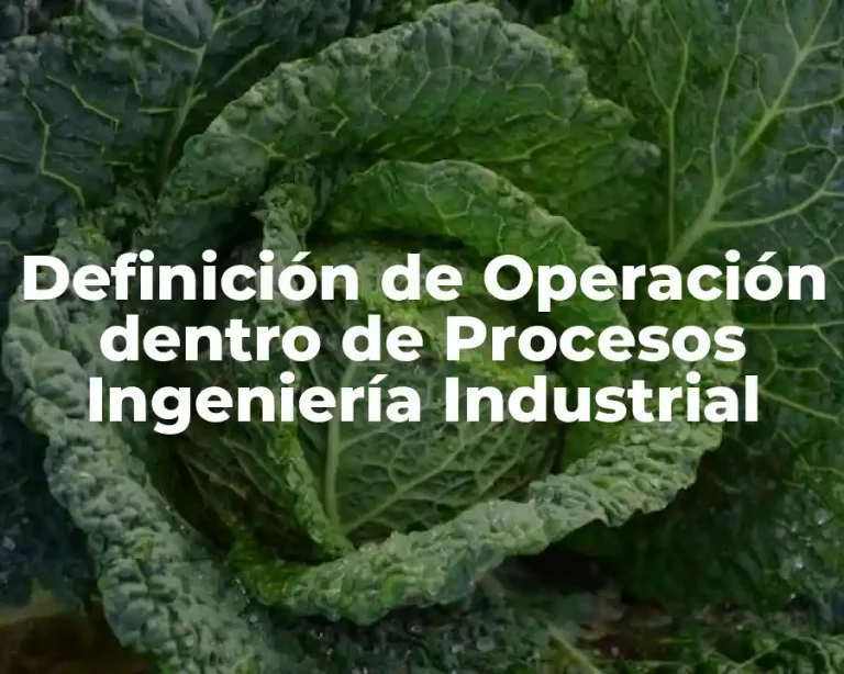 Definición de Operación dentro de Procesos Ingeniería Industrial