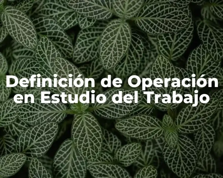 Definición de Operación en Estudio del Trabajo