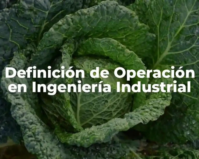 Definición de Operación en Ingeniería Industrial