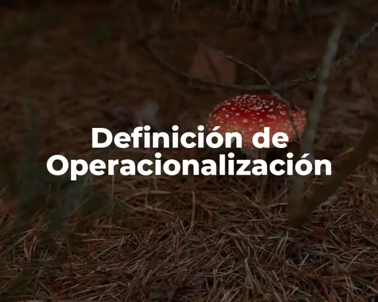 Definición de Operacionalización